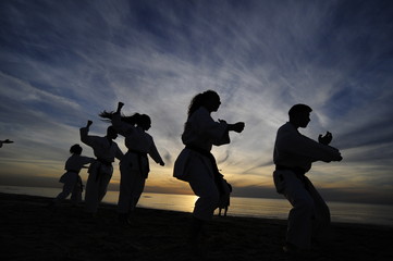 Silhouettes of karate fighters