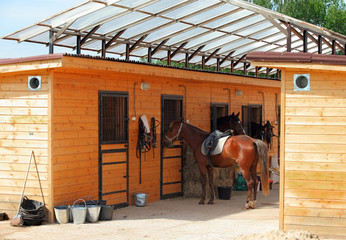 Horses at the stable of Riding Center