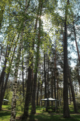 spring park