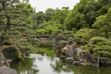 Fototapeta na wymiar Japanese Garden at Nijojo-castle in Kyoto, Japan