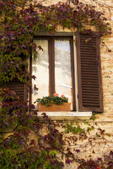Fototapeta na wymiar Classic window with vegetation in Tuscany