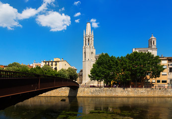 Fototapeta na wymiar Collegiate Church and Gothic Cathedral from Onyar river