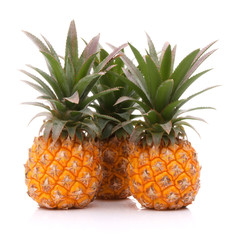 Pineapple tropical fruit or ananas