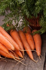 fresh carrot bunch on grungy wooden background