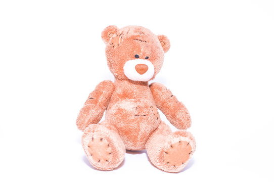 Cute teddy bear