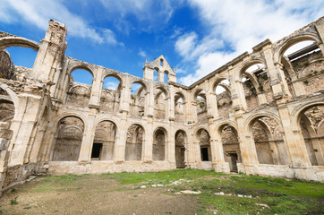 ruined cloister of an abandoned monastery.