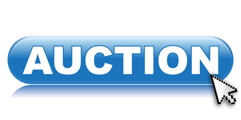 AUCTION ICON