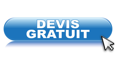 DEVIS GRATUIT ICON