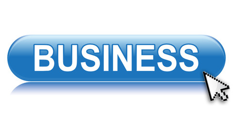 BUSINESS ICON