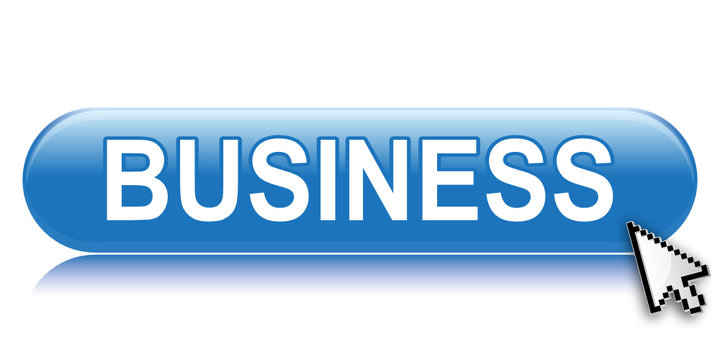 BUSINESS ICON