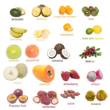 fruits isolated