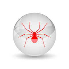 Spider icon