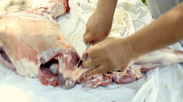Butcher cutting back part of lamb on the table