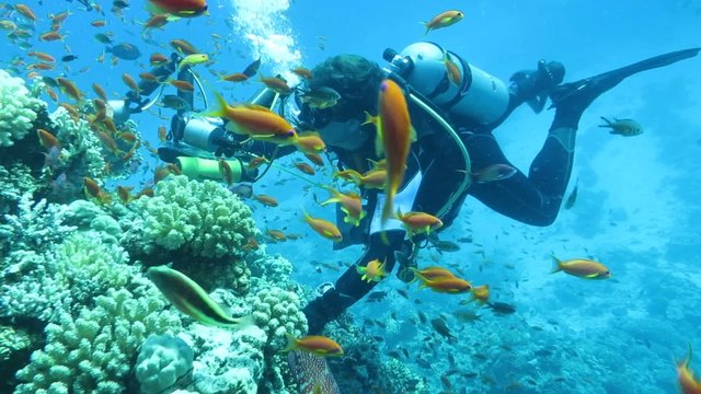 Videofilmer filmt Korallenriff