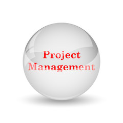 Project management icon
