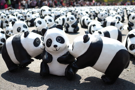 Paper Panada at Taipei