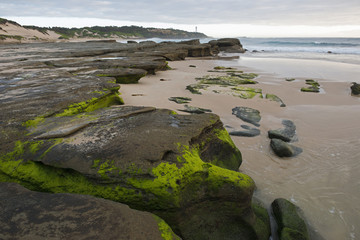 Coastline at  Norah head on the NSW north coast.