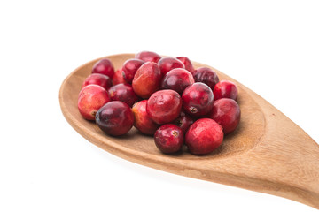 Cranberry