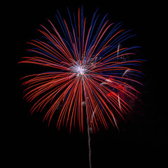 Fireworks in the night sky background