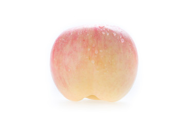 apple fuji fruit with water drops on white background