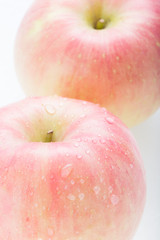 apple fuji fruit with water drops