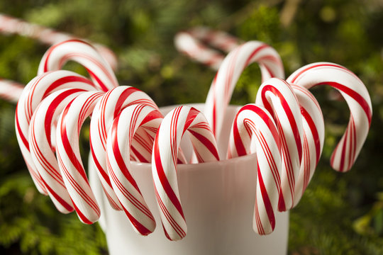 Festive Peppermint Candy Canes