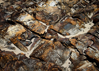 Rocks on Crescent Beach