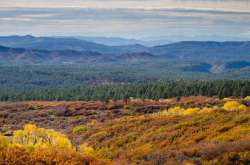 autumn nature landscape 