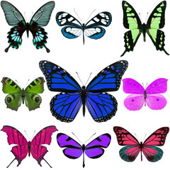 Obraz na płótnie Canvas colorful butterfly