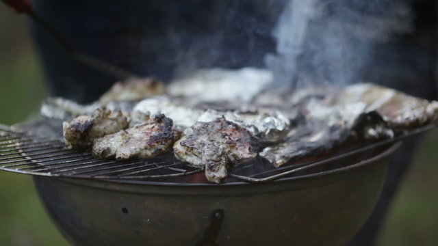 Meat and fish barbecue