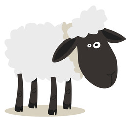 mouton