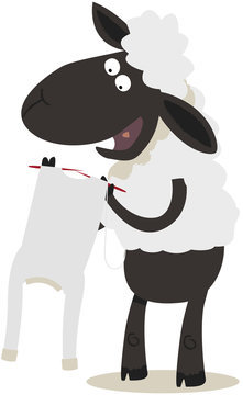 mouton tricotant son propre pull