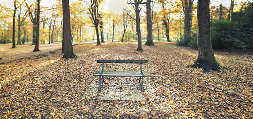 old bench in autumnal park