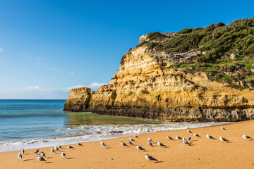 Praia do Carvalho beach in Benagil