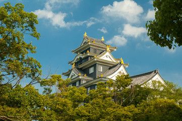 Okayama-jo castle - 73192978