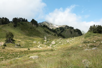 Fototapeta na wymiar Vallée du Galbe,Pyrénées orientales