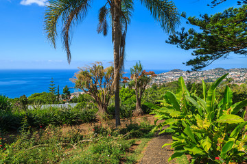 Fototapeta na wymiar Famous tropical botanical gardens, Funchal town, Madeira island