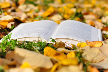 Naklejka na ściany i meble Open book and autumn leaves