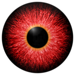 Illustration of red scary eye - 73196789