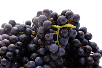 Raisins noirs
