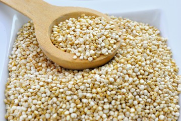 Quinoa - Chenopodium quinoa