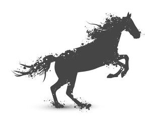 Fototapeta premium Abstract Horse