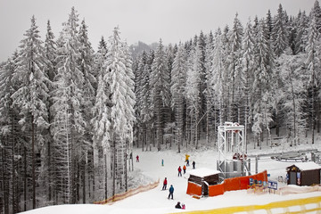 ski slope in the winter forest