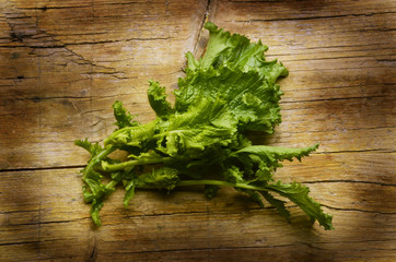 Brassica rapa sylvestris Stängelkohl Cime di rapa Expo 2015