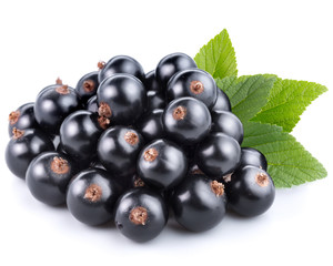 black currant
