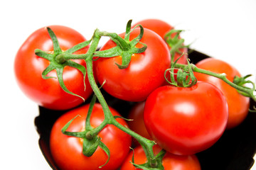 Rote Tomaten - Solanum Lycopersicum