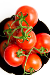 Rote Tomaten - Solanum Lycopersicum