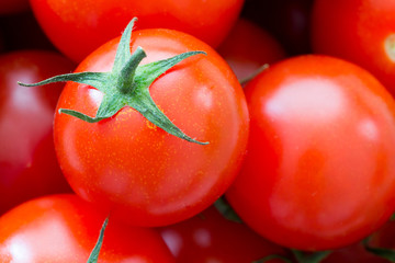 Rote Tomaten - Solanum Lycopersicum