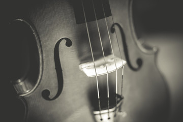 ancient violin