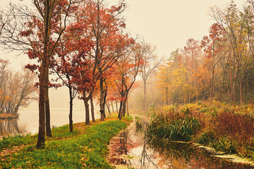 Fototapeta premium Autumn stream